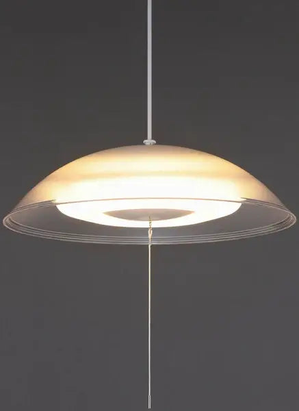 LED Pendant Light - Front view