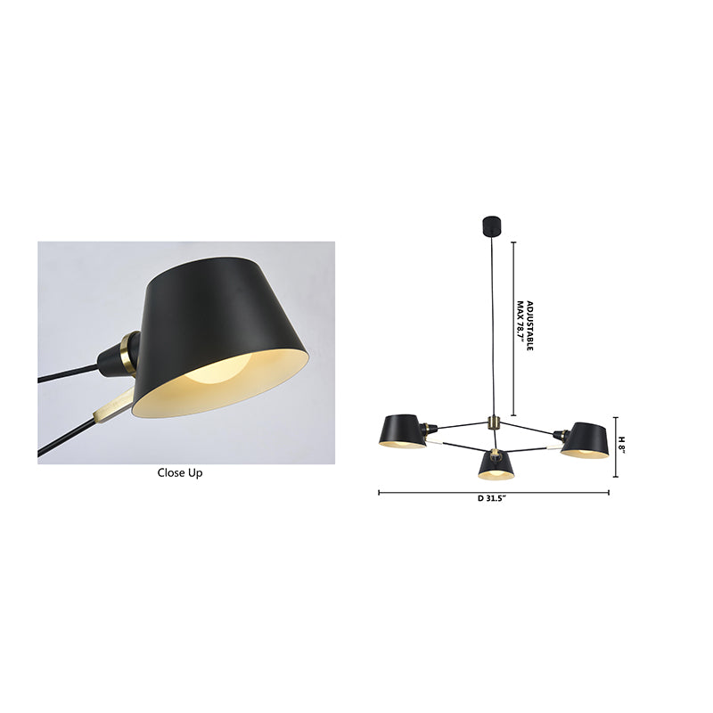 Metal Frame with Gold Accents Ceiling Light