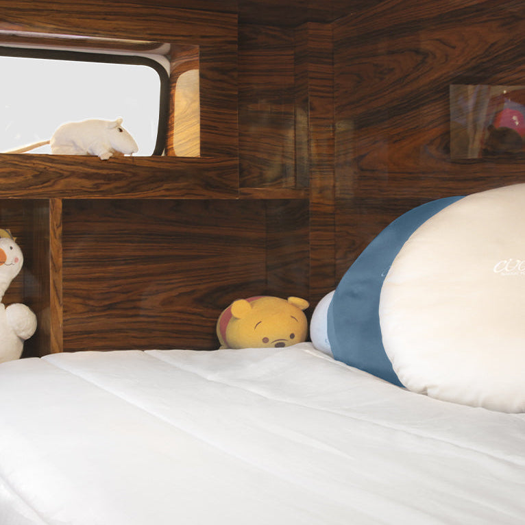 Bun Van Bed