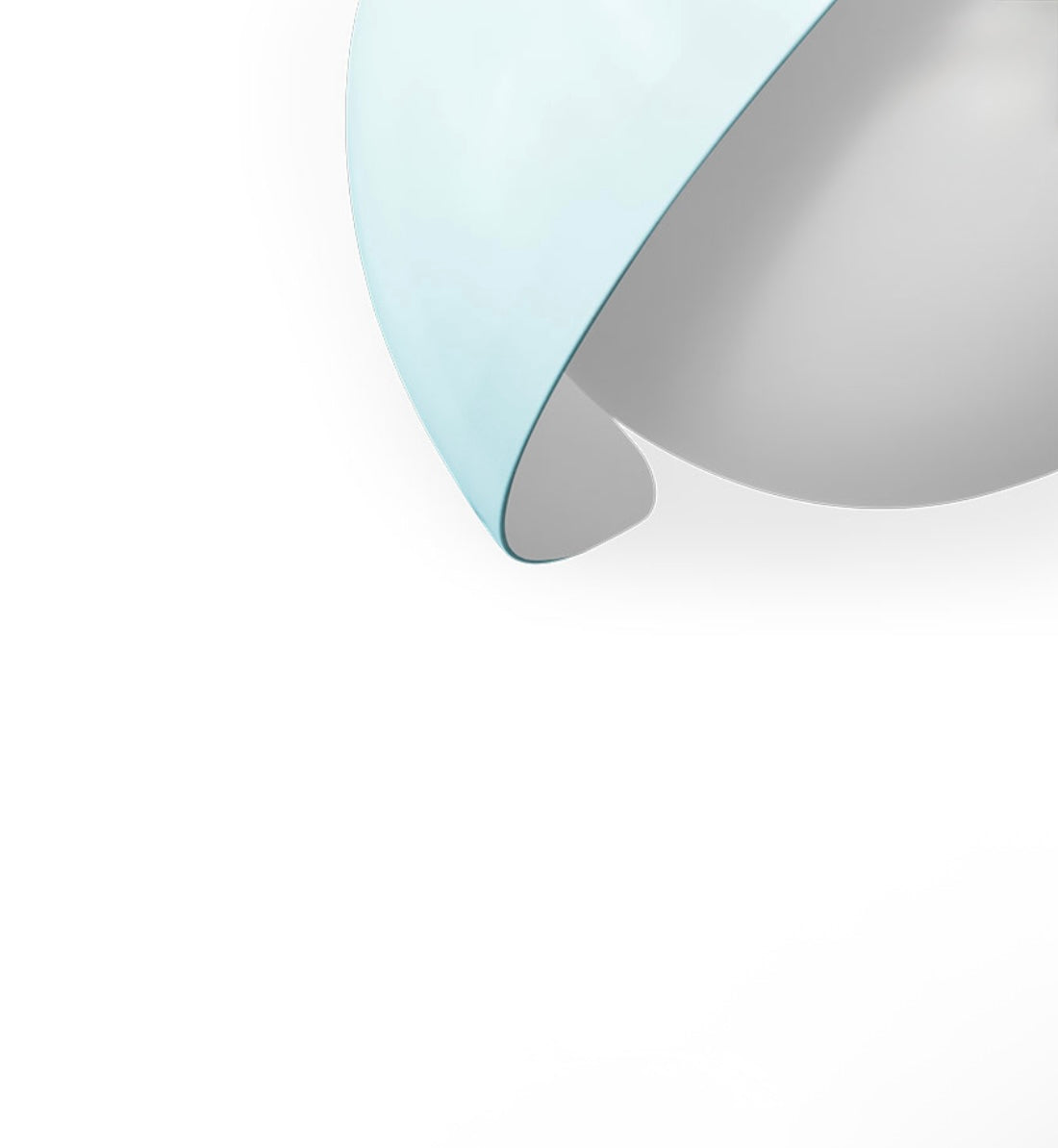 Periwinkle Flower