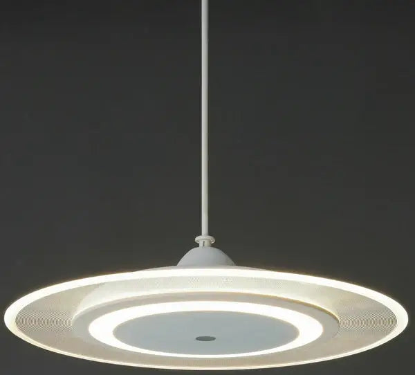 LED Pendant Light - Front view
