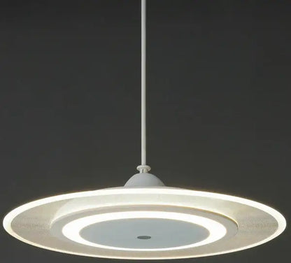 LED Pendant Light - Front view