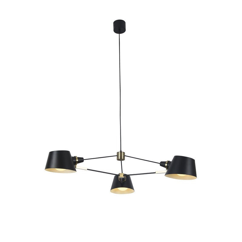 Metal Frame with Gold Accents Ceiling Light