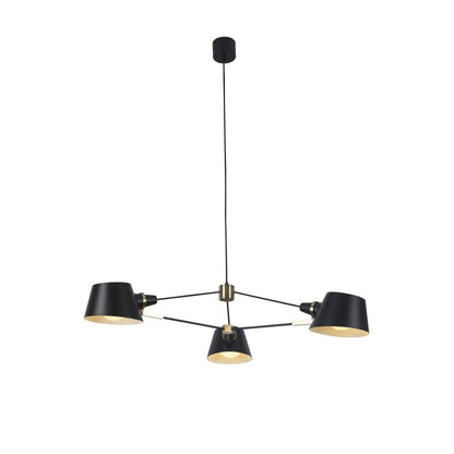 Metal Frame with Gold Accents Ceiling Light