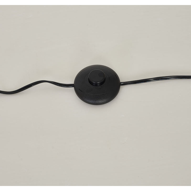Matte Black Iron Floor Lamp