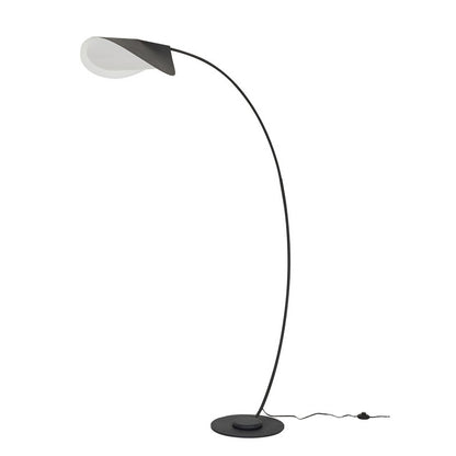 Matte Black Iron Floor Lamp