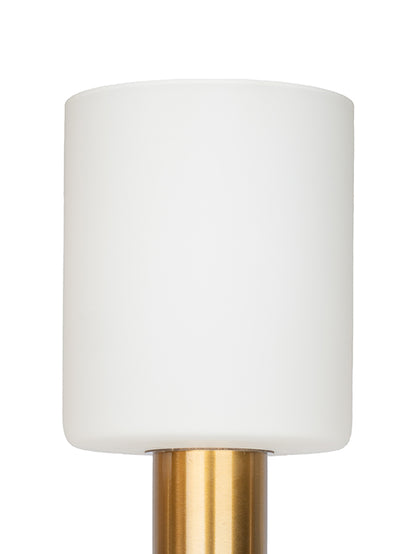 Metal & Glass LED Chandelier