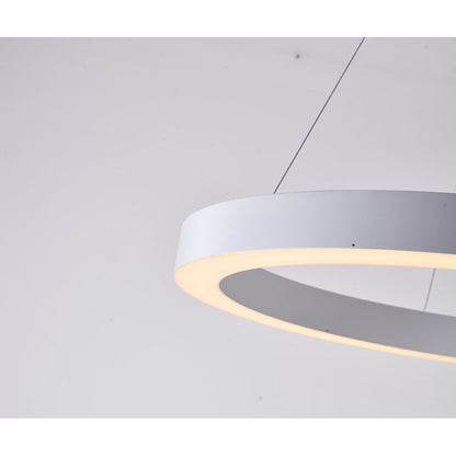 Halo Ring Led Chandelier With A White Acrylic Diffuser