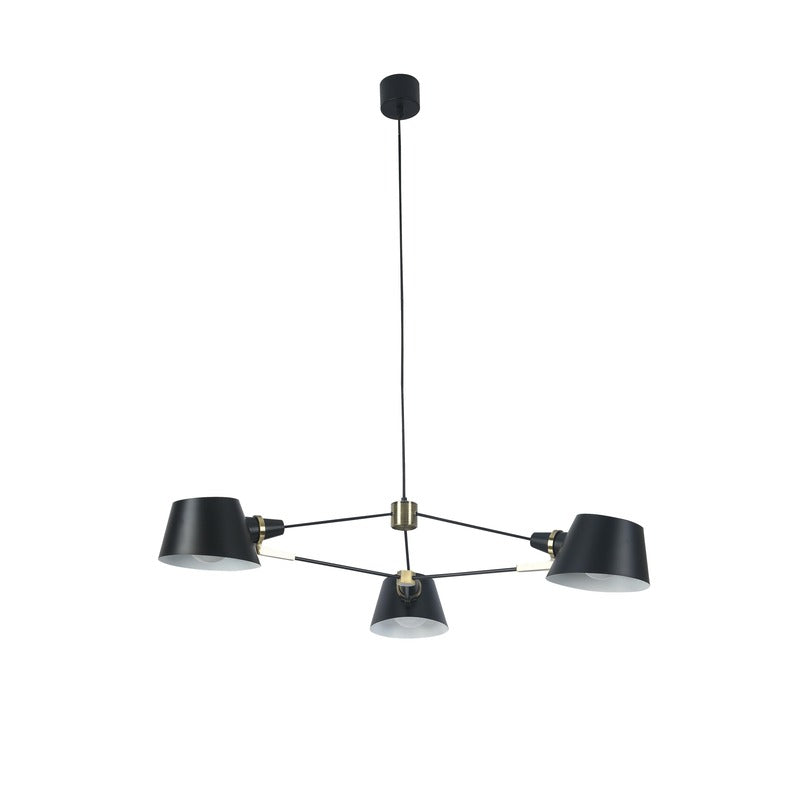 Metal Frame with Gold Accents Ceiling Light