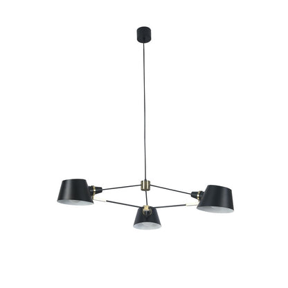 Metal Frame with Gold Accents Ceiling Light