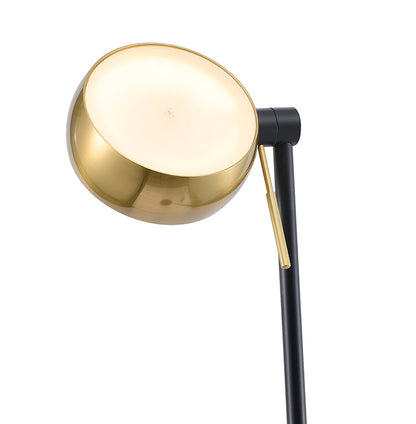 Black Aluminum LED Floor Lamp
