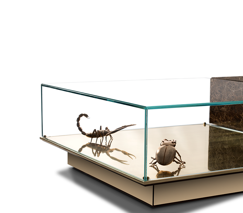 Metamorphosis Center Table