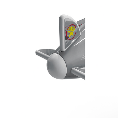 Sky B Plane Bed
