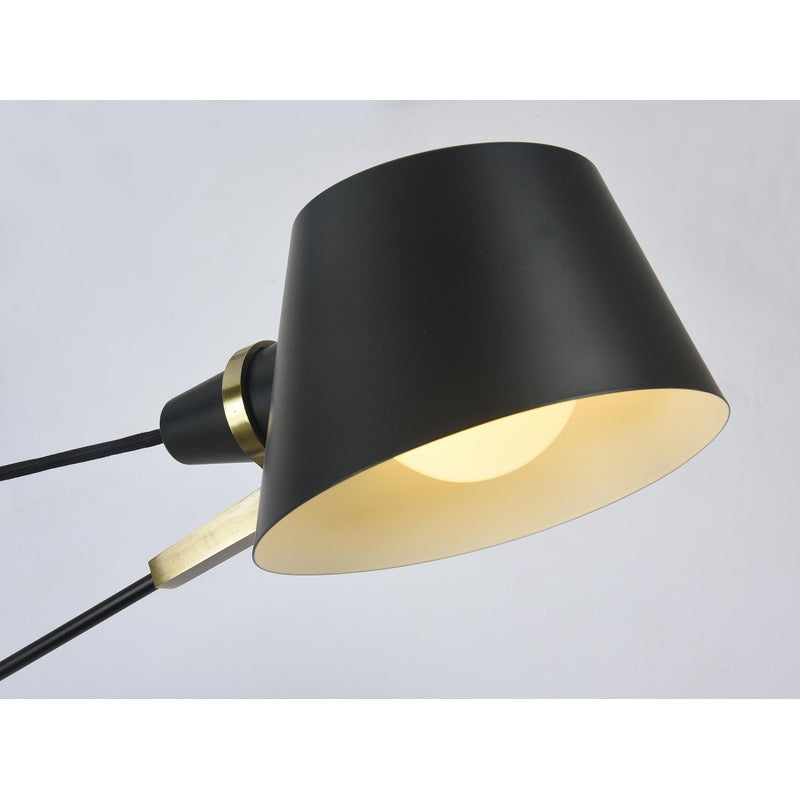 Metal Frame with Gold Accents Ceiling Light