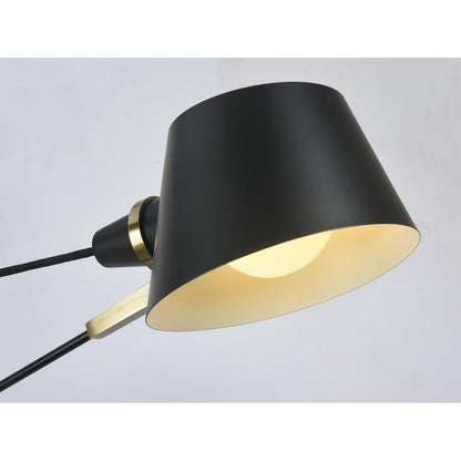 Metal Frame with Gold Accents Ceiling Light