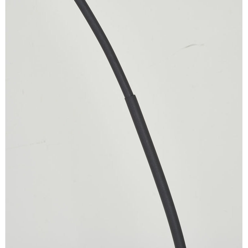 Matte Black Iron Floor Lamp