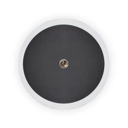 Marshmallow Activity II Table