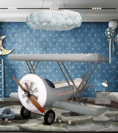 Sky B Plane Bed