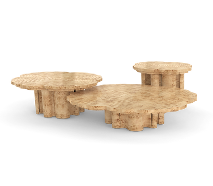 Fortuna Set of 3 Center Table
