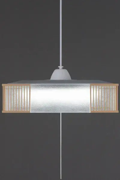 LED Pendant Light - Front view