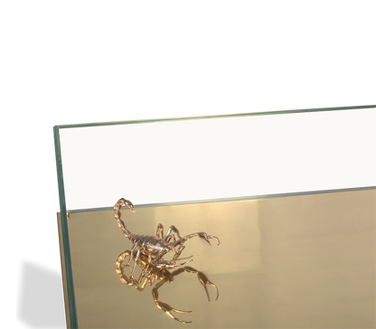 Metamorphosis Center Table