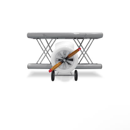 Sky B Plane Bed