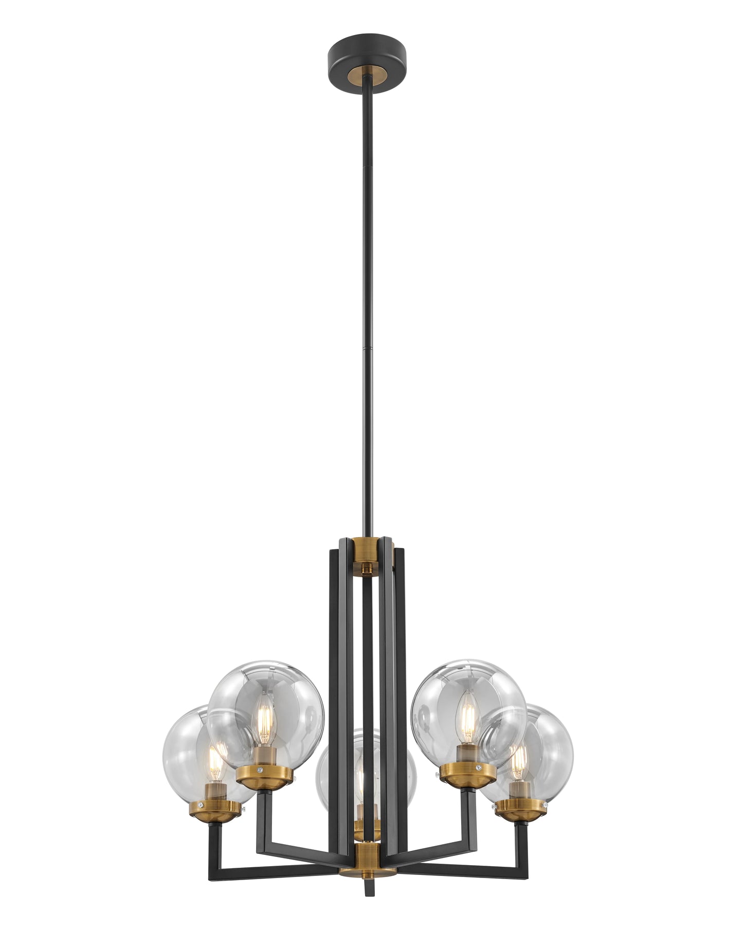 Black & Gold Monachopsis Small Chandelier