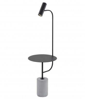 Matte Black Metal Frame Floor Lamp