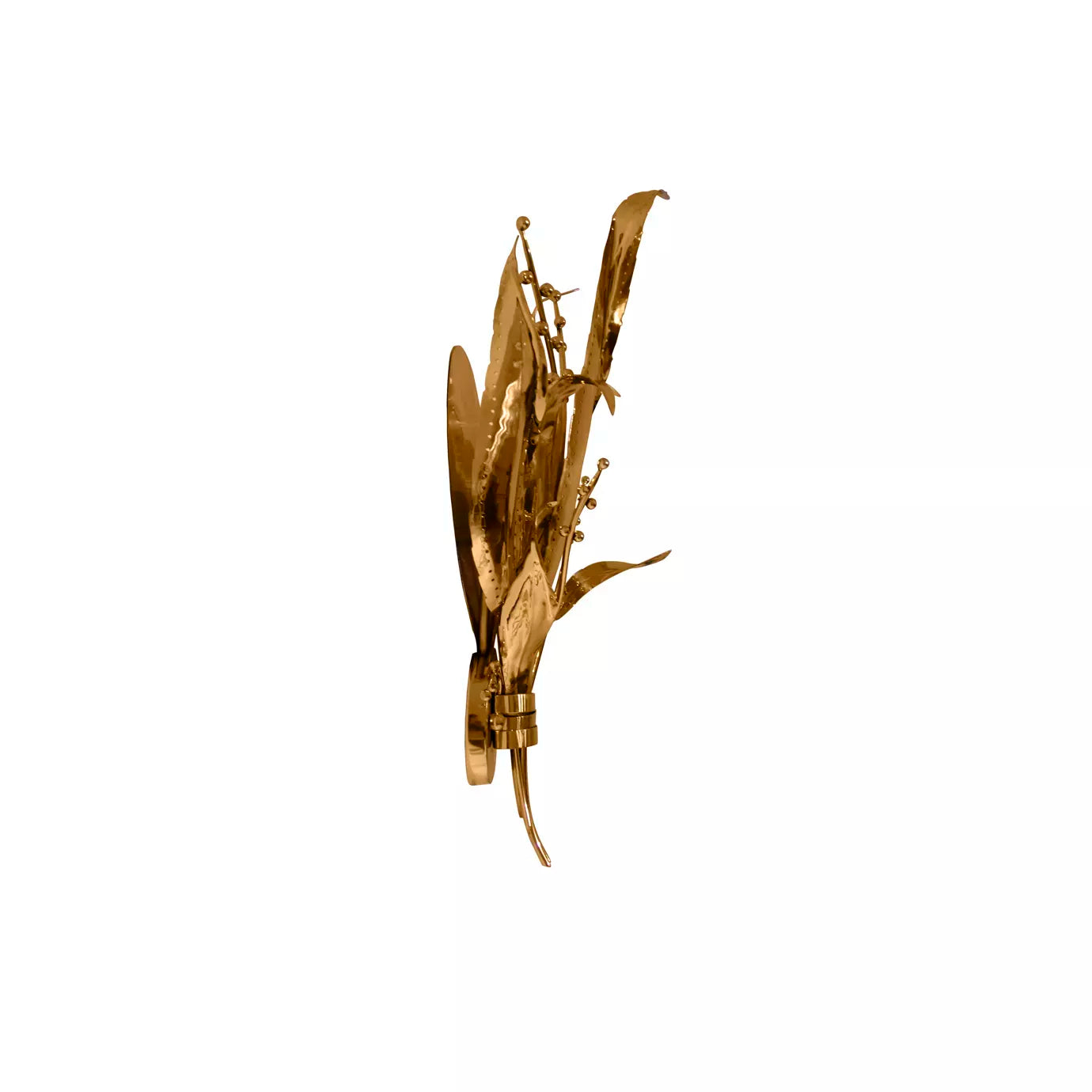Botanica Wall Sconce by Koket