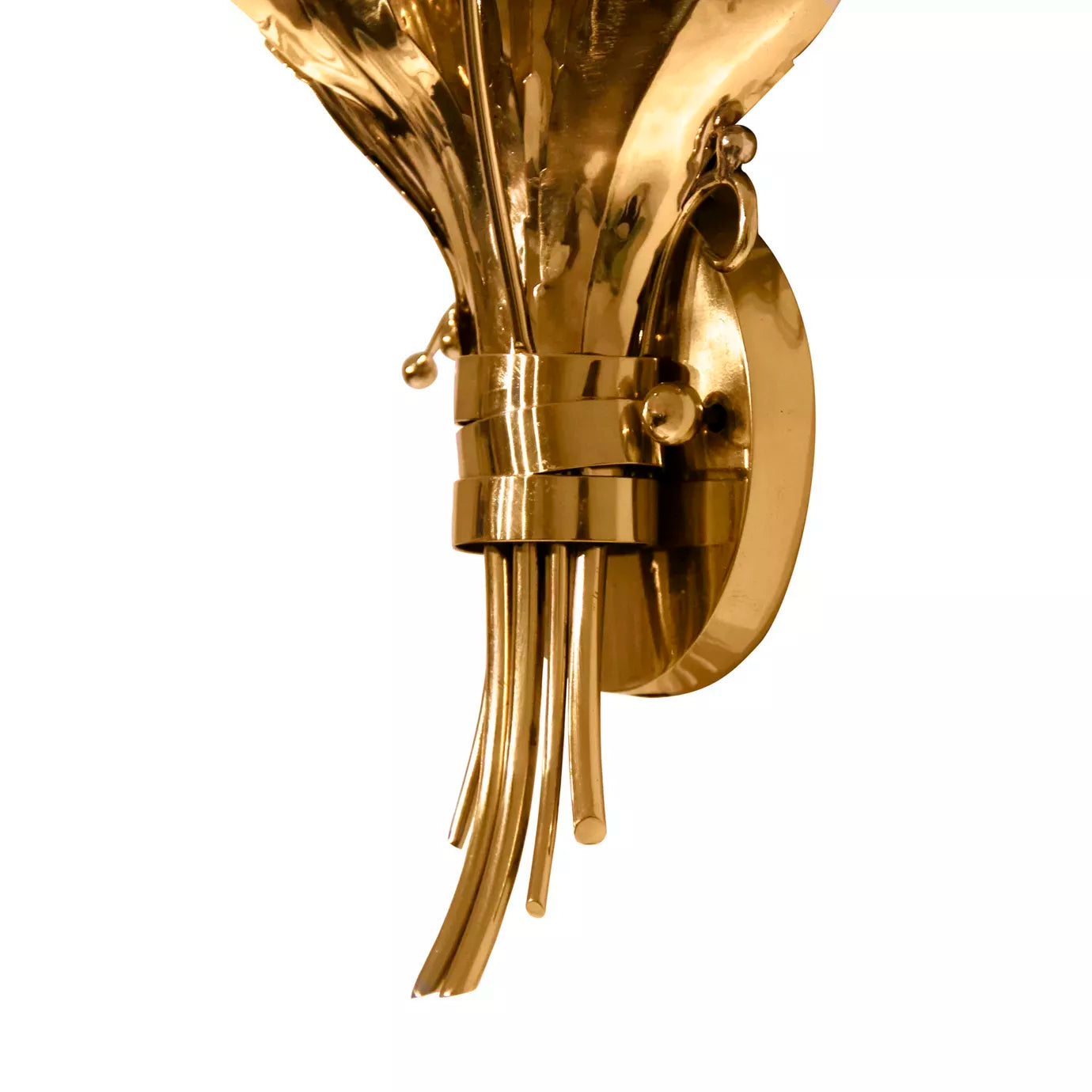 Botanica Wall Sconce by Koket