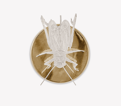 Filigree Cricket Wall Lamp by Boca do Lobo
