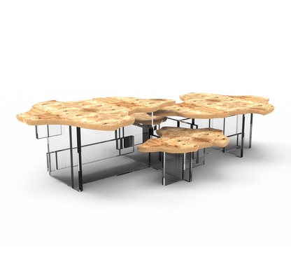 Monet Center Table - Wiggins ChandelierBoca do LoboWiggins ChandelierCenter Table