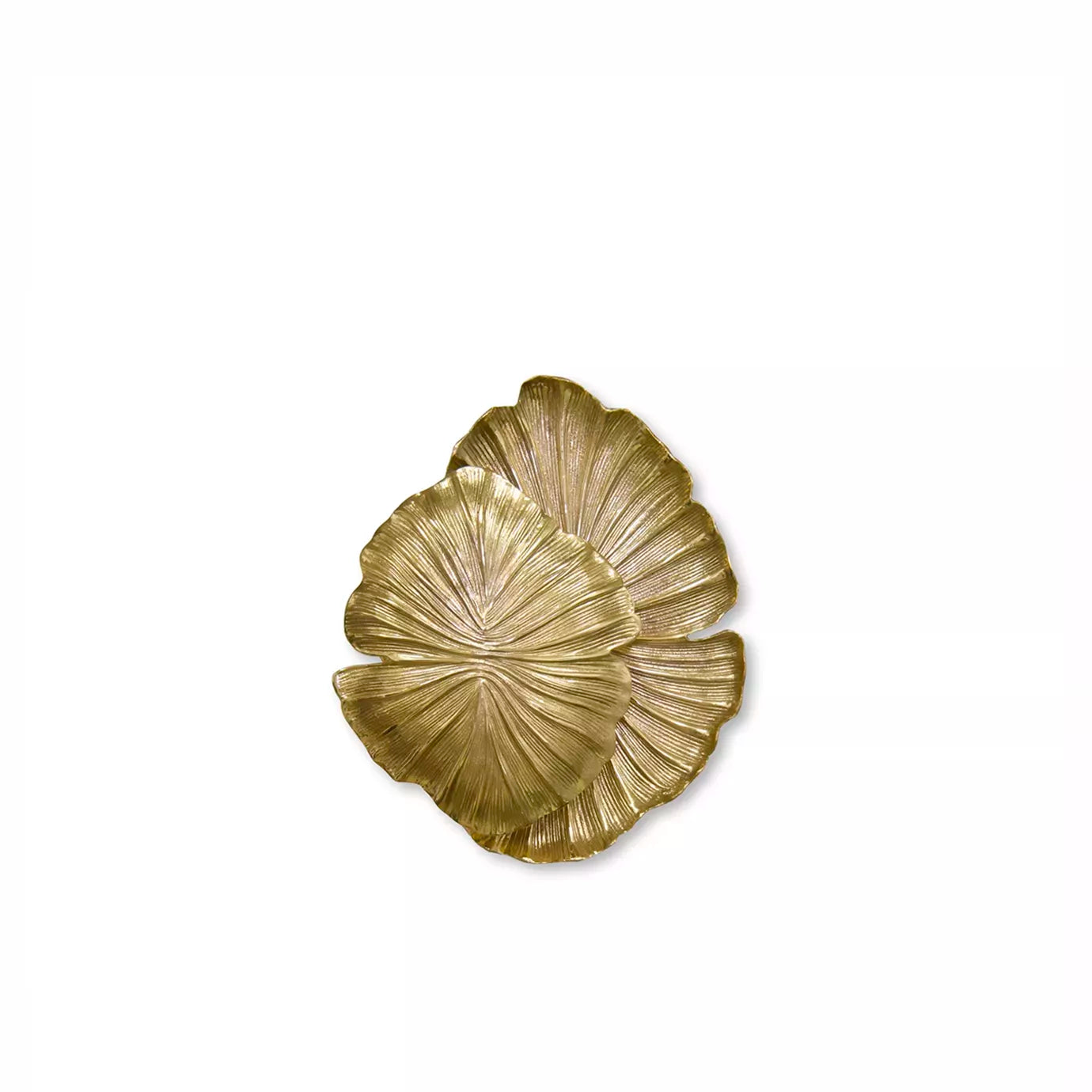 Passion Wall Sconce by Koket
